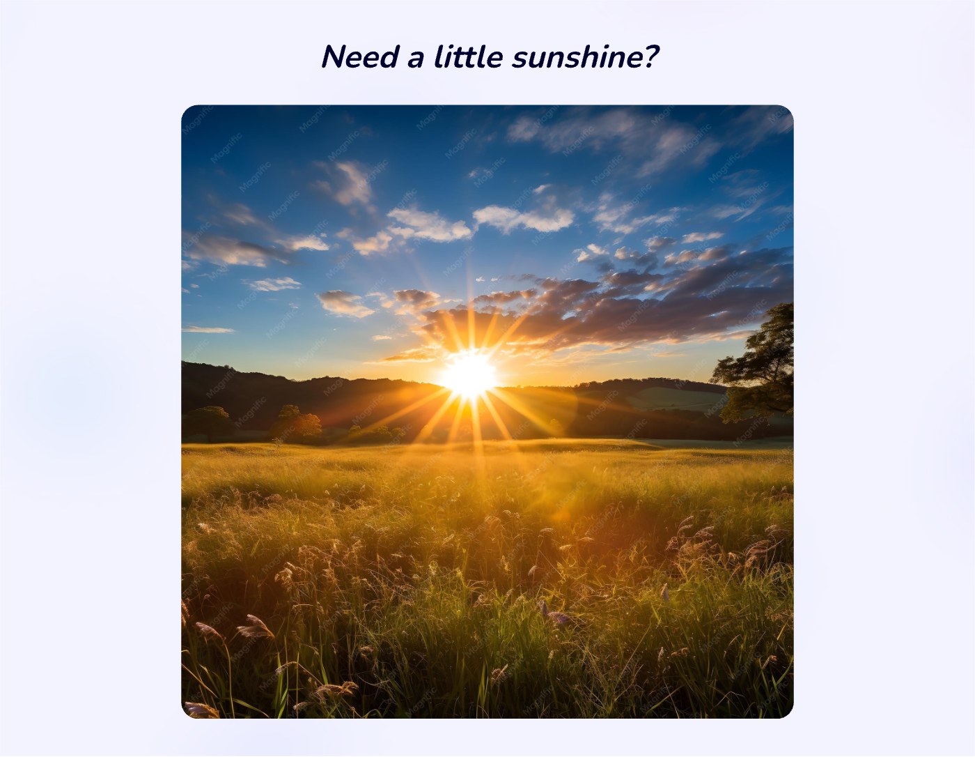 Front of the "Need a Little Sunshine" devotional card