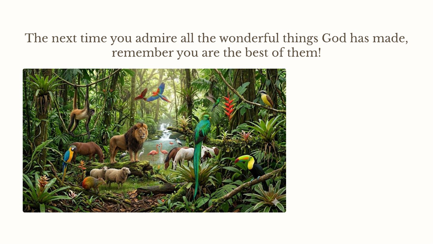 Front of the "The Next Time You Admire All the Wonderful Things God Has Made, Remember You Are the Best of Them" devotional card