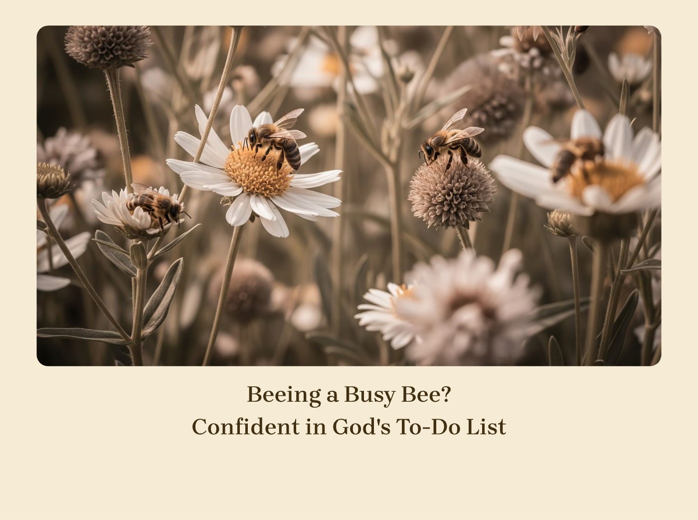 Front of the "Beeing a Busy Bee" devotional card