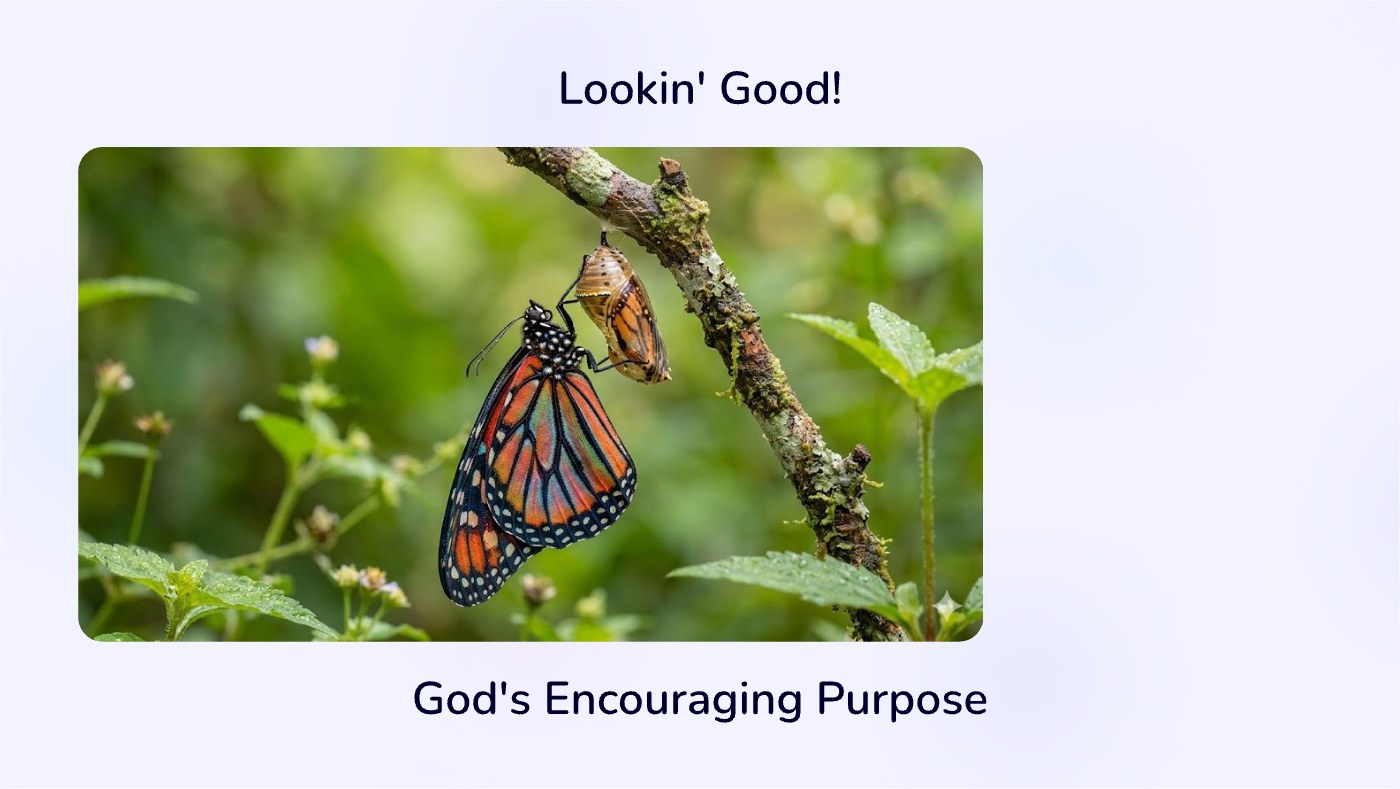 Front of the "Lookin Good!" devotional card